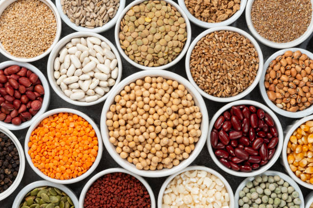 The Matel International - WhatsApp Image 2025-09-29 at 10.23.55 AM